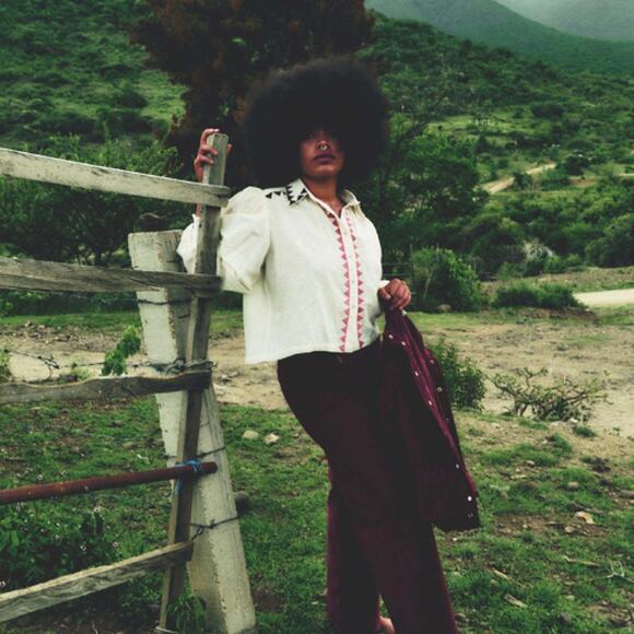 NEW Carolina K 3/4 Blouson Sleeves Button front K Elisa Cropped Blouse White - Picture 9 of 9